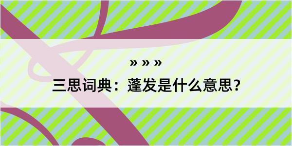 三思词典：蓬发是什么意思？