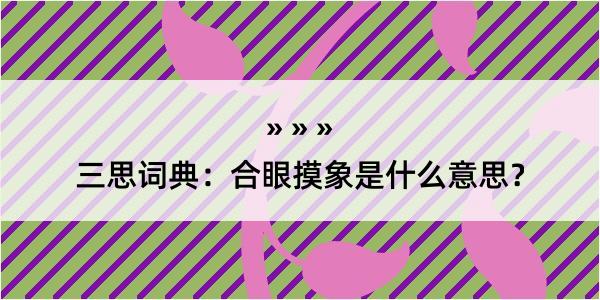 三思词典：合眼摸象是什么意思？