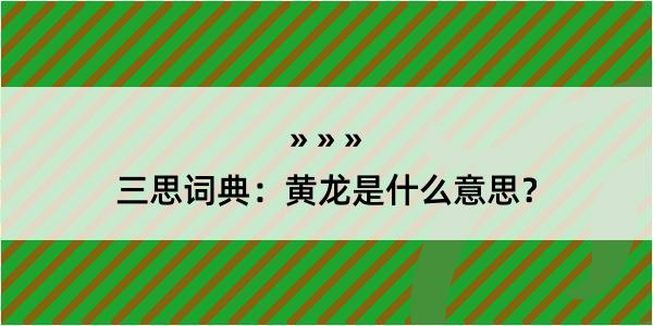 三思词典：黄龙是什么意思？