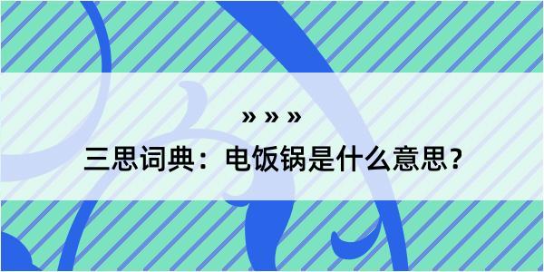 三思词典：电饭锅是什么意思？