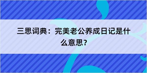 三思词典：完美老公养成日记是什么意思？