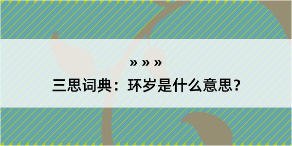 三思词典：环岁是什么意思？