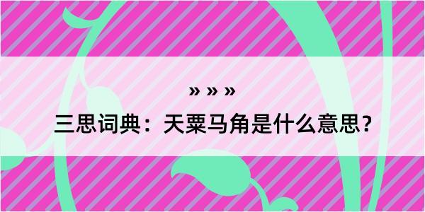 三思词典：天粟马角是什么意思？