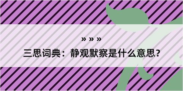 三思词典：静观默察是什么意思？