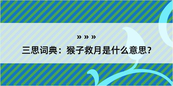 三思词典：猴子救月是什么意思？