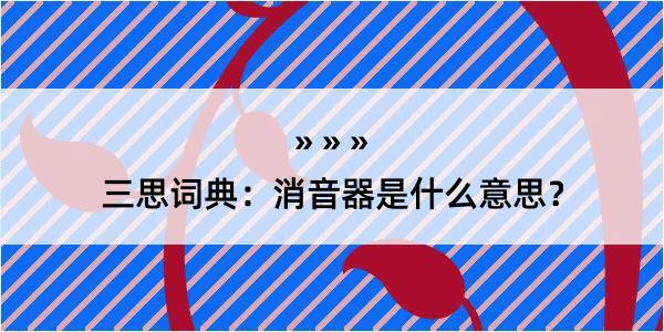 三思词典：消音器是什么意思？