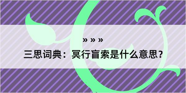 三思词典：冥行盲索是什么意思？