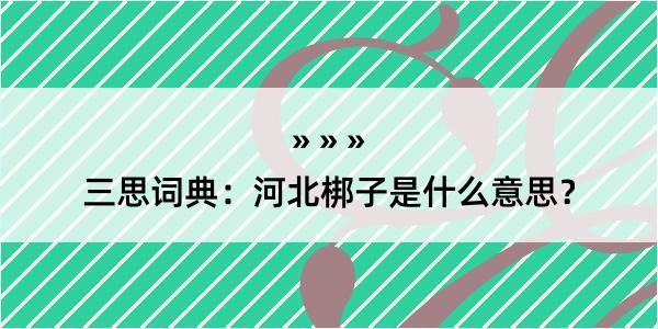 三思词典：河北梆子是什么意思？