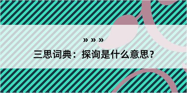 三思词典：探询是什么意思？