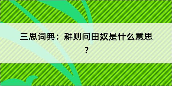 三思词典：耕则问田奴是什么意思？