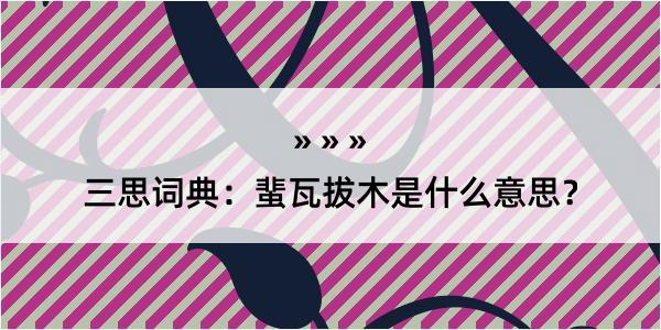 三思词典：蜚瓦拔木是什么意思？