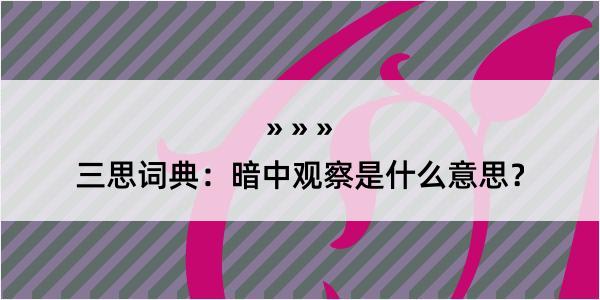 三思词典：暗中观察是什么意思？