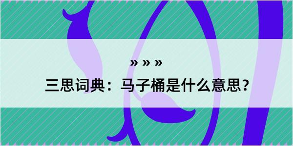 三思词典：马子桶是什么意思？