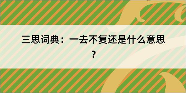 三思词典：一去不复还是什么意思？