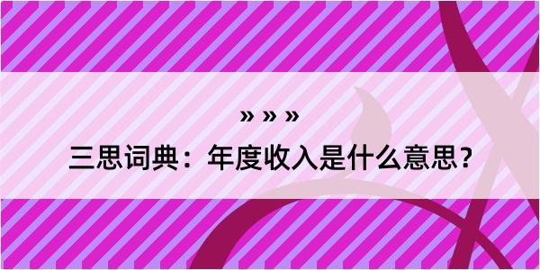 三思词典：年度收入是什么意思？