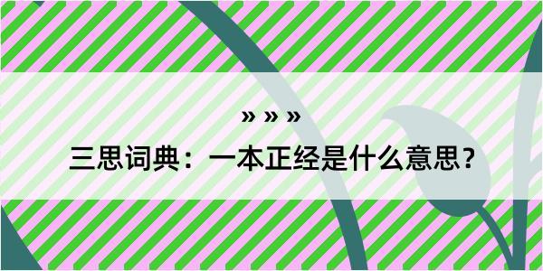 三思词典：一本正经是什么意思？