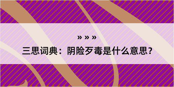 三思词典：阴险歹毒是什么意思？