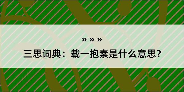 三思词典：载一抱素是什么意思？