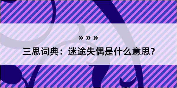 三思词典：迷途失偶是什么意思？