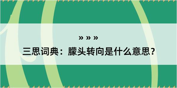 三思词典：朦头转向是什么意思？