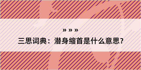 三思词典：潜身缩首是什么意思？