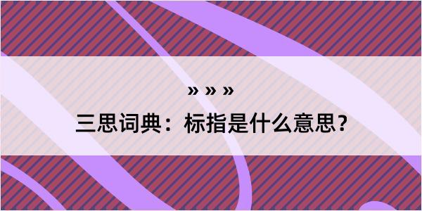 三思词典：标指是什么意思？