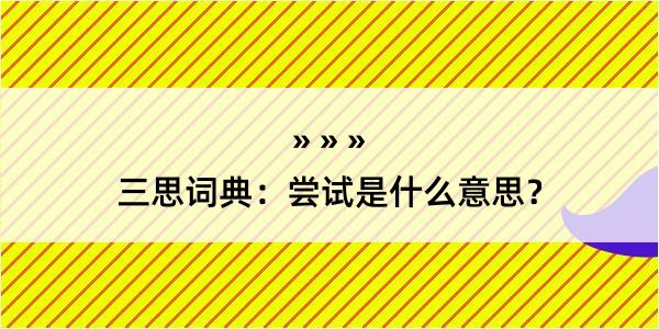 三思词典：尝试是什么意思？