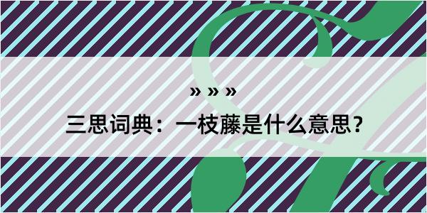 三思词典：一枝藤是什么意思？