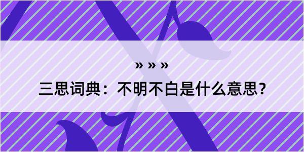 三思词典：不明不白是什么意思？