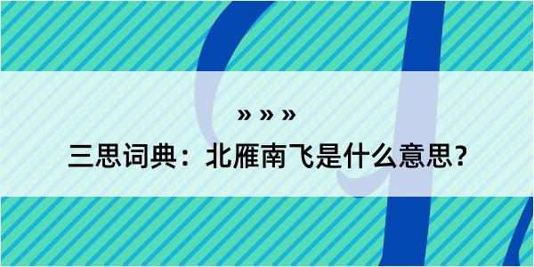 三思词典：北雁南飞是什么意思？