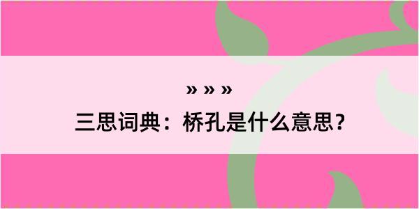 三思词典：桥孔是什么意思？