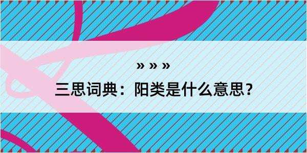 三思词典：阳类是什么意思？