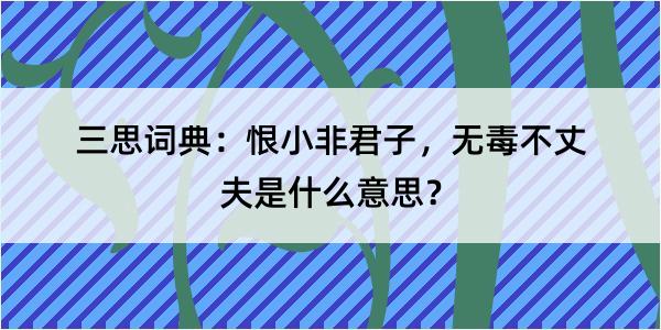 三思词典：恨小非君子，无毒不丈夫是什么意思？