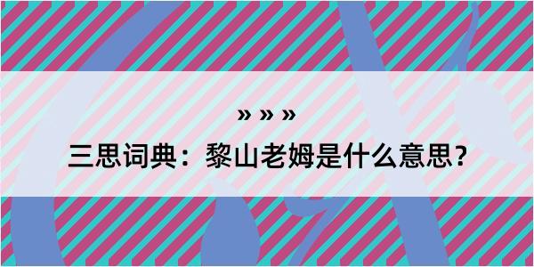 三思词典：黎山老姆是什么意思？