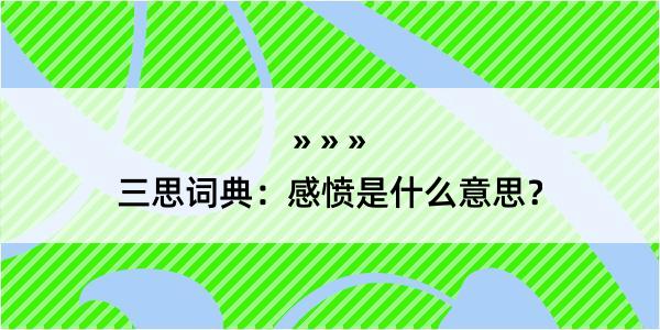 三思词典：感愤是什么意思？