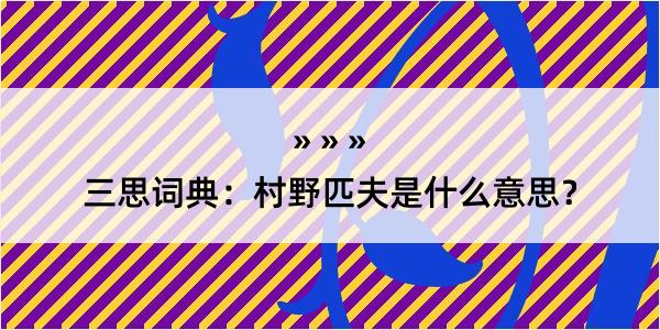 三思词典：村野匹夫是什么意思？