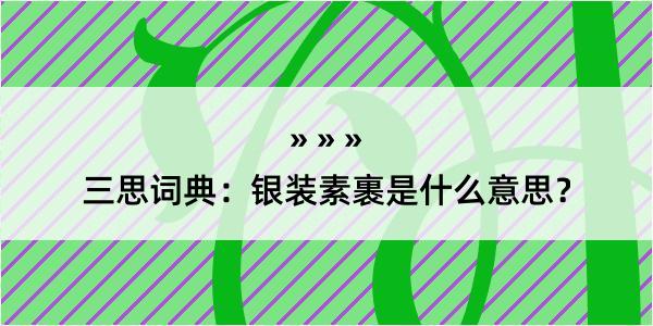 三思词典：银装素裹是什么意思？