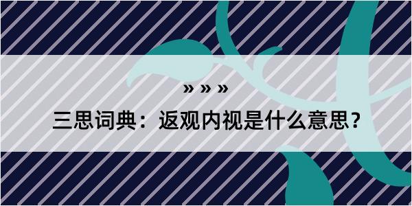 三思词典：返观内视是什么意思？