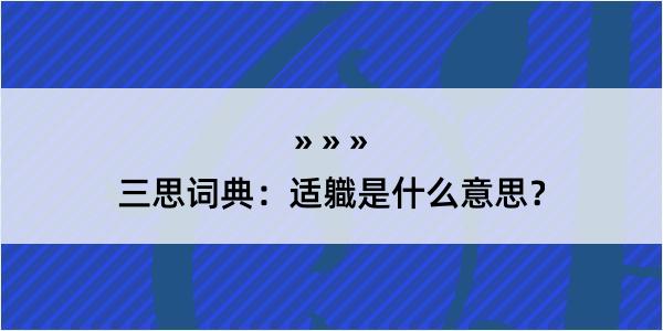 三思词典：适軄是什么意思？