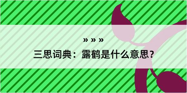 三思词典：露鹤是什么意思？