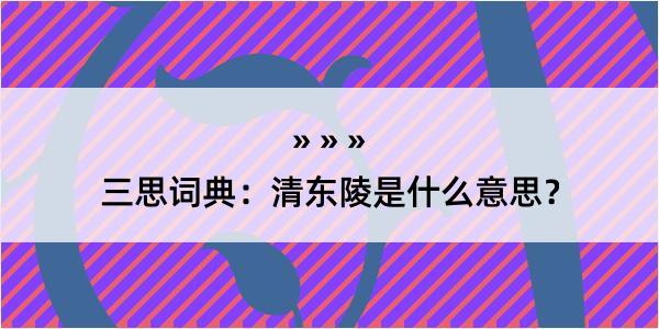 三思词典：清东陵是什么意思？