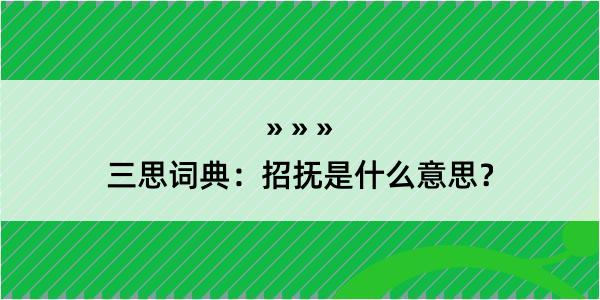 三思词典：招抚是什么意思？