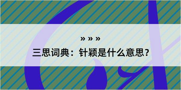 三思词典：针颖是什么意思？