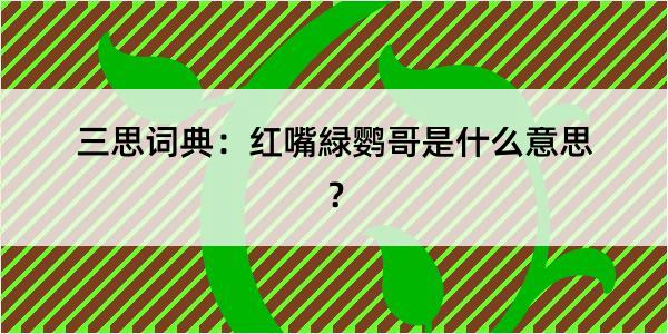 三思词典：红嘴緑鹦哥是什么意思？