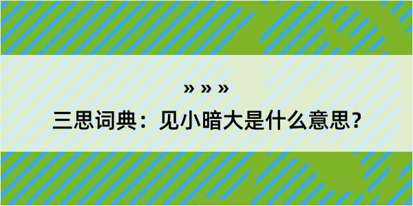 三思词典：见小暗大是什么意思？