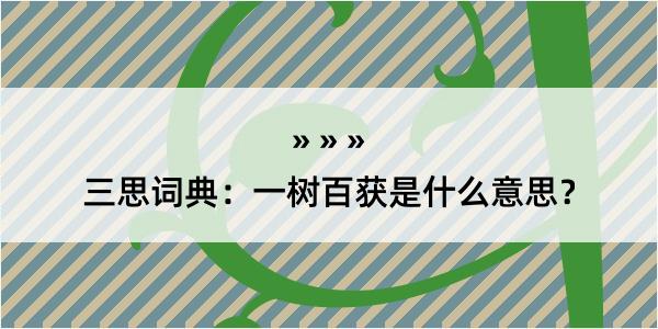 三思词典：一树百获是什么意思？