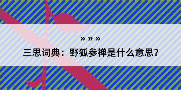 三思词典：野狐参禅是什么意思？