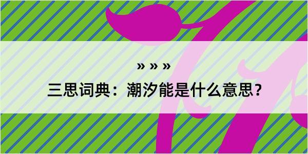 三思词典：潮汐能是什么意思？