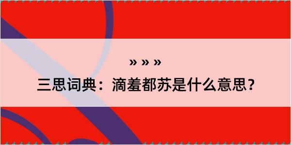 三思词典：滴羞都苏是什么意思？