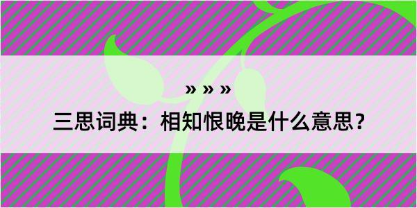 三思词典：相知恨晚是什么意思？